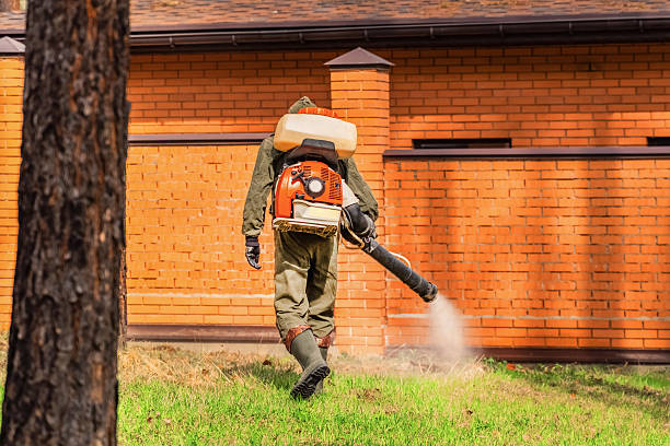 Top rated local Cockroach Control specialists in Carterville, MO